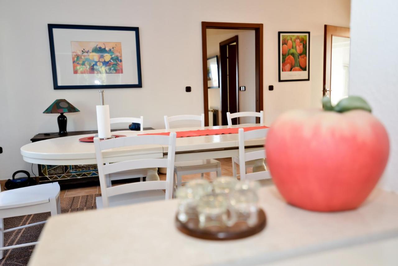 Apartmani Vidikovac Dokoza Zadar Ngoại thất bức ảnh